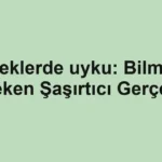 bebeklerde-uyku-bilmeniz-gereken-sasirtici-gercekler.webp