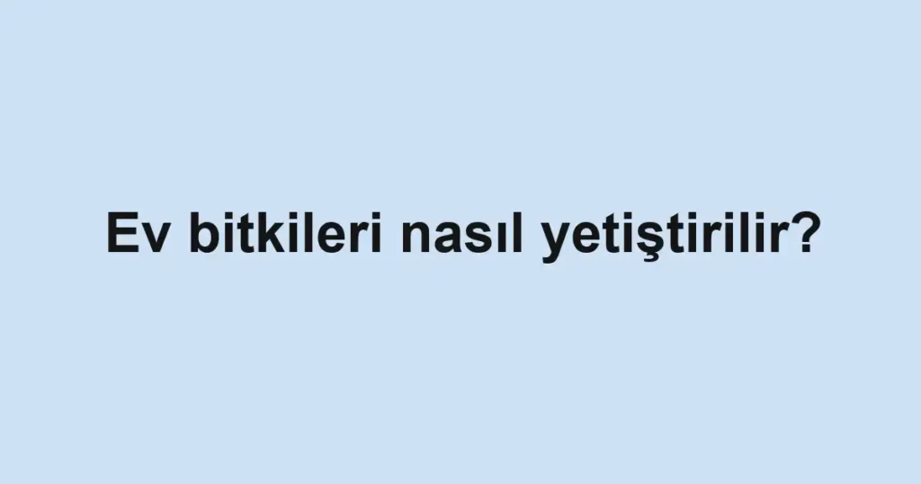 ev-bitkileri-nasil-yetistirilir