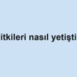 ev-bitkileri-nasil-yetistirilir