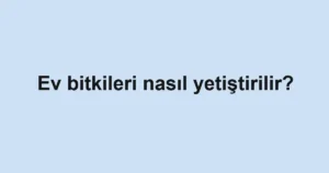 ev-bitkileri-nasil-yetistirilir
