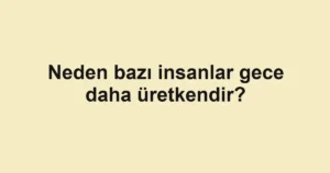 neden-bazi-insanlar-gece-daha-uretkendir